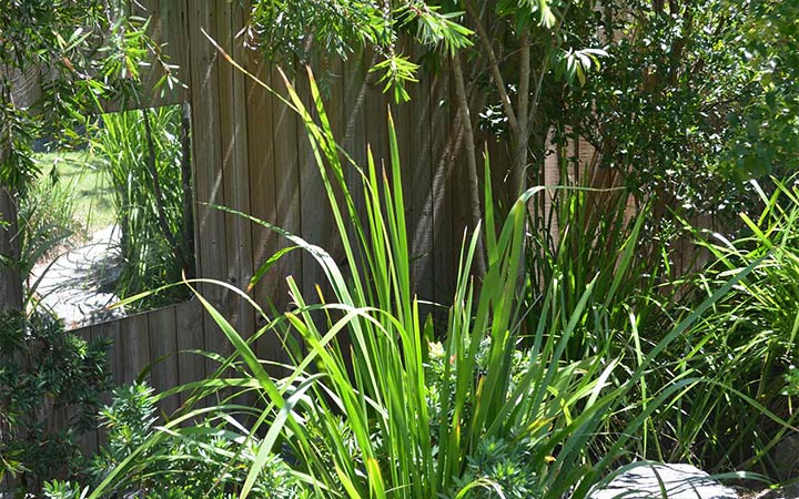 Red Hill Kindergarten - Quality Early Childhood Education - Red Hill Brisbane