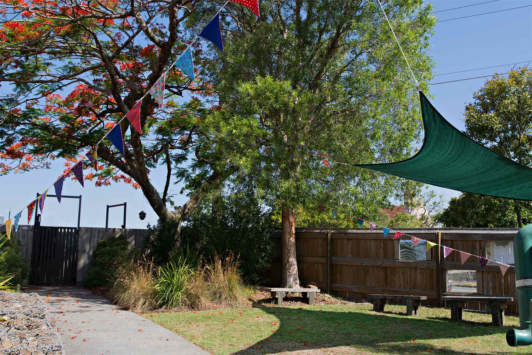 Leafy surroundings at Red Hill Kindergarten.
